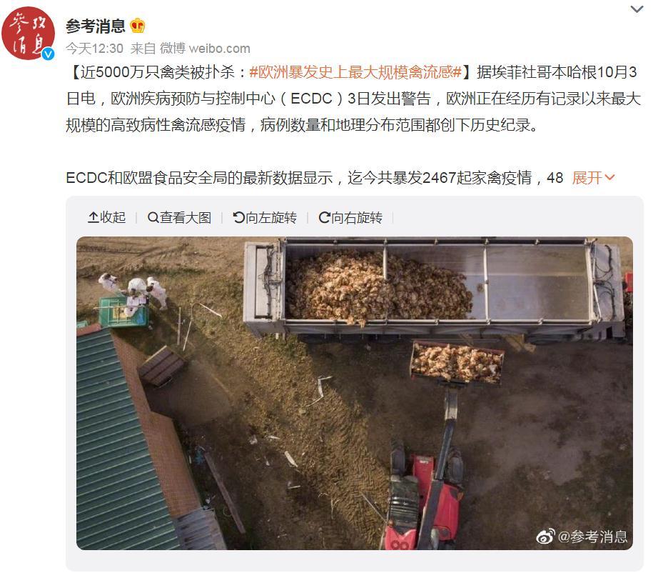 關注！歐洲暴發史上最大規模禽流感，波及37個國家！近5000萬只禽類被撲殺，蛋價會上漲么？